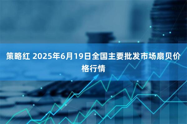 策略红 2025年6月19日全国主要批发市场扇贝价格行情